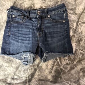 American Eagle Outfitters Blue Jean Shorts